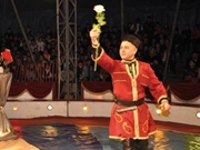 Contratação de Artistas Circenses SP
